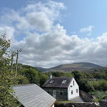 Bryn Rhedyn Cottage Cwm-y-glo Luaran gambar