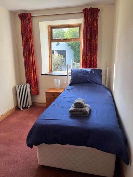 Bryn Rhedyn Cottage Cwm-y-glo Luaran gambar
