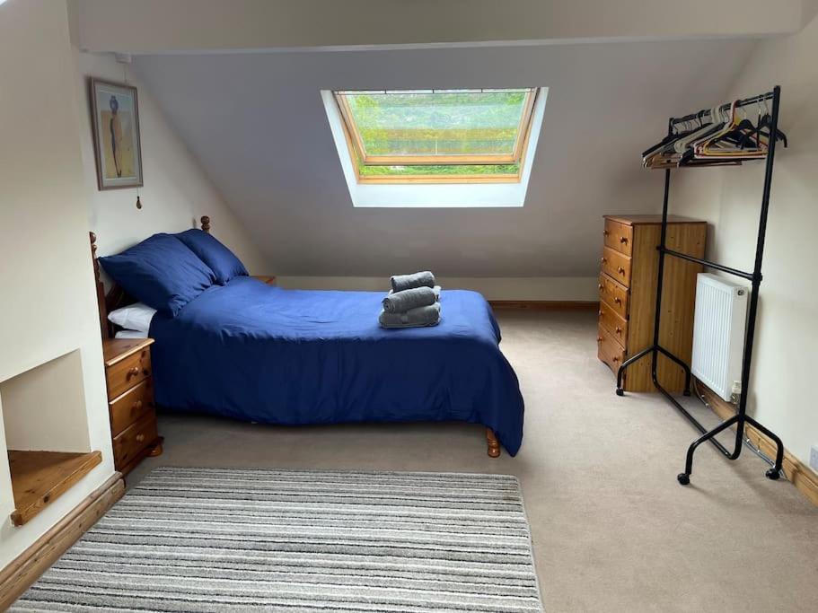Bryn Rhedyn Cottage Cwm-y-glo Luaran gambar